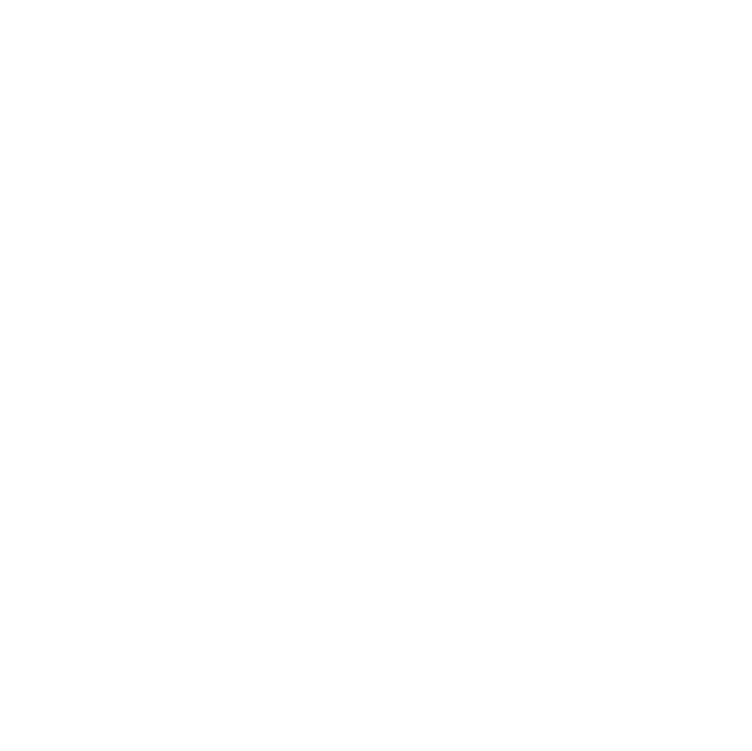 LEVC Brussels logo